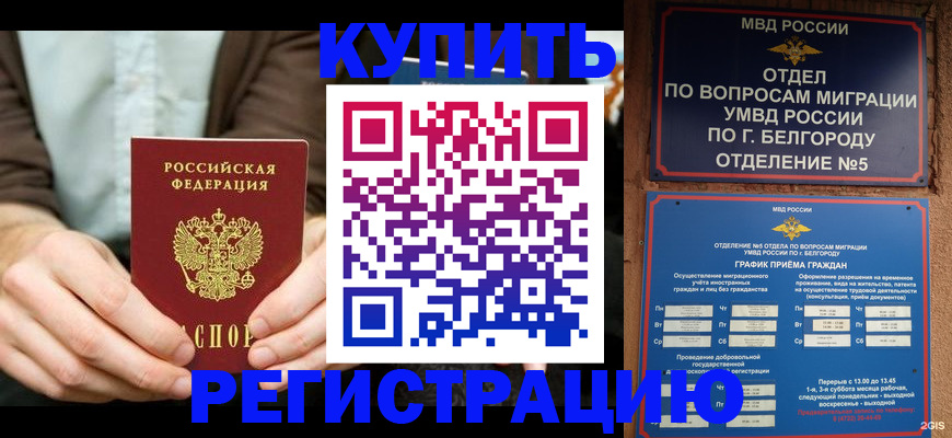 прописка 2025 в Белово